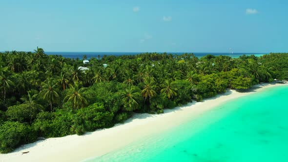 Aerial nature of tranquil lagoon beach wildlife by turquoise lagoon and white sandy background of a 