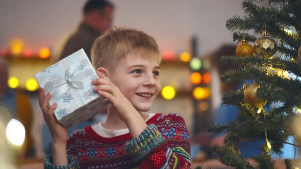 Happy Preteen Boy Holding Christmas Present Near Decorated Tree