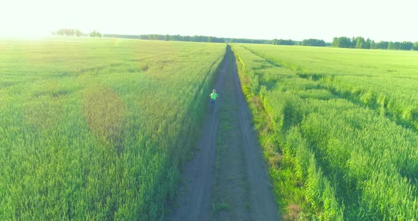 Aerial View on Young Boy That Rides a Bicycle Thru a Wheat Grass Field on the Old Rural Road