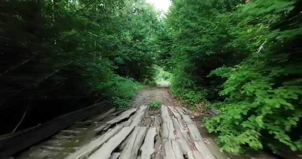 Flying Along the Wooden Bridge Between the Green Trees