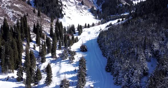 Winter Forest High in the Mountains