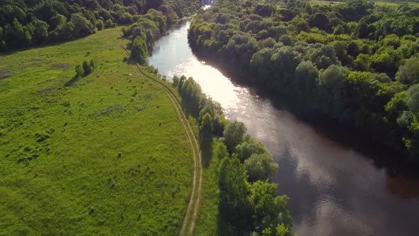 Drone Flight Over Water and Trees From a Height