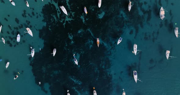 Aerial View the Boats Anchored Near the Coast in Clear Sea Waters