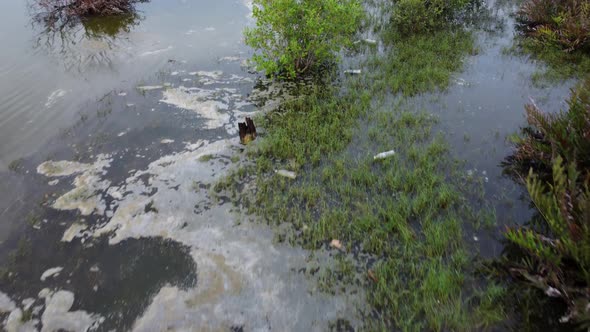 Fly over wetland with pollution at water