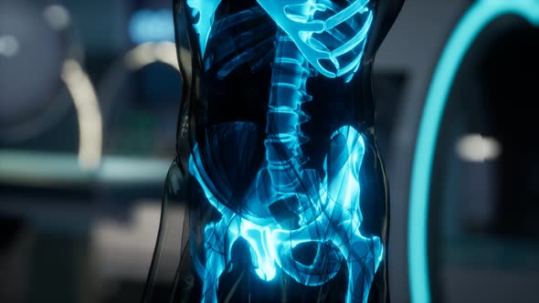 Human Skeleton Bones Scan Exam in Lab alt