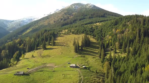 High mountain peaks covered with autumn spruce forest and high snowy summits. alt