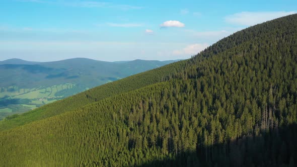 Aerial view of vast mountainous forests. Beautiful nature (Hrubý jeseník mountains)