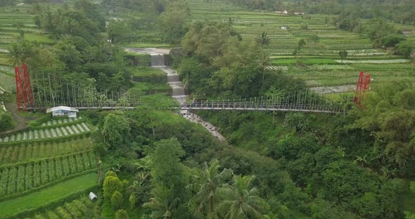 suspension bridge crossing the valley with waterfall surrounded by dense of trees and vegetable plan