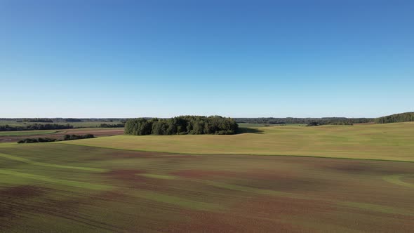 Agricultural fields