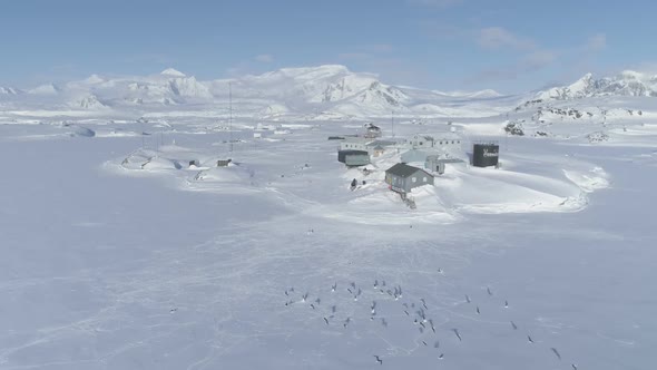 Antarctica Coast Vernadsky Station Aerial View