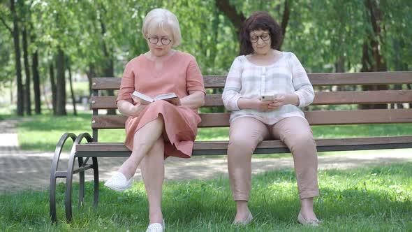 Wide Shot Portrait of Two Senior Women Enjoying Hobbies on Bench in Sunny Park. Absorbed Caucasian