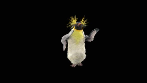 Penguin Dancing HD