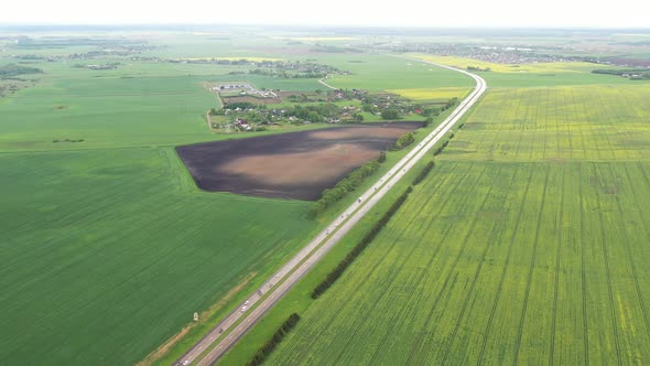 Top View of the Sown Green in Belarus