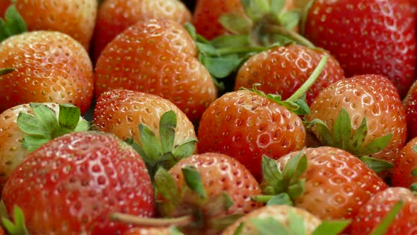 Red Strawberry fruit