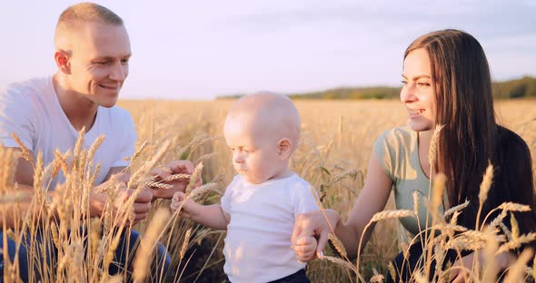 Family Sitting on the Grass in a Wheat Field During Sunset