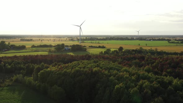 windmills over at sunset over fall color forest.