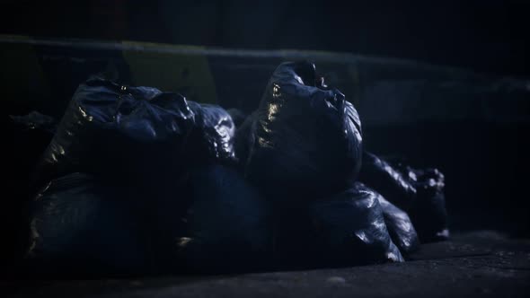 Garbage Bags at City Street an Night