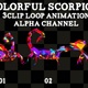 Colorful Scorpion Loop 3Clip - VideoHive Item for Sale