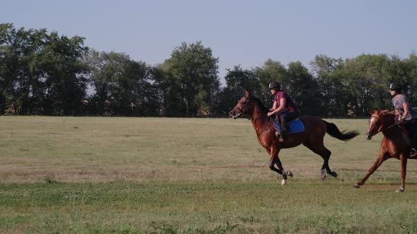 Peaceful Ride Turned Into a Competition