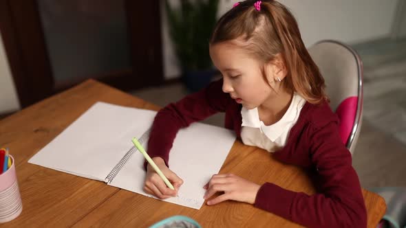 Focused schoolgirl sit at desk doing homework handwriting