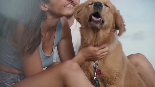 Happy Couple Petting Dog Outdoors