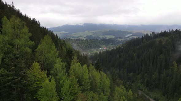 Ukraine, Carpathian Mountains: Beautiful Mountain Forest Landscape. Aerial