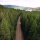 The Road In The Middle Of The Forest - VideoHive Item for Sale