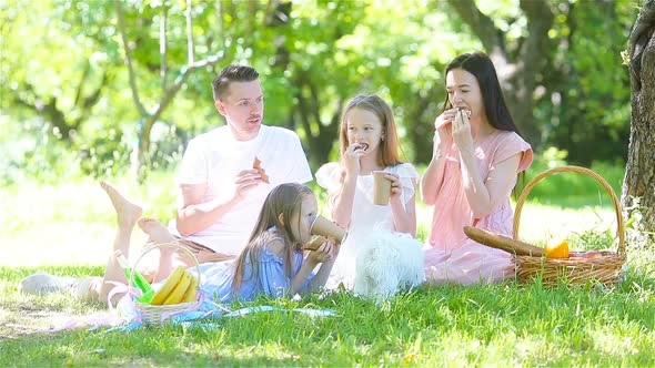 Happy Family on a Picnic in the Park on a Sunny Day