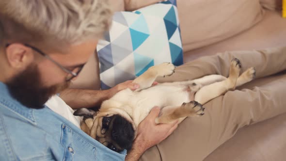 Close Up of Handsome Man with Cute Dog Relaxing at Home