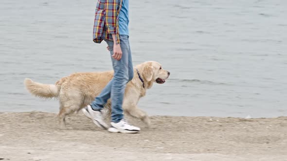 Man Walking Along Coast with Labrador Dog