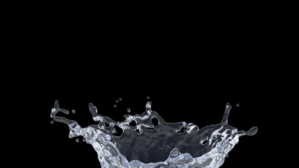 Crown Splash alt