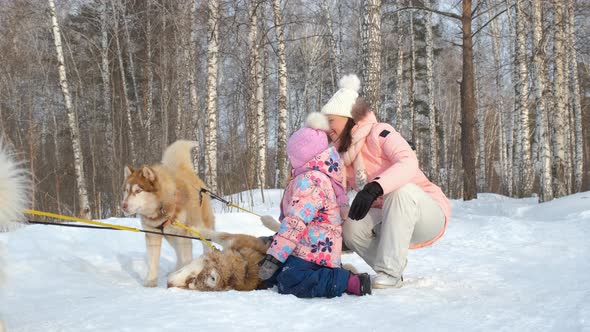 Woman with Daughter Play with Sledge Dog Outdoors
