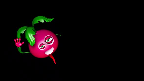 Radish Promotion Ads  Looped Animation with Alpha Channel and Shadow