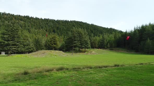 Nature Flying Over Green Field