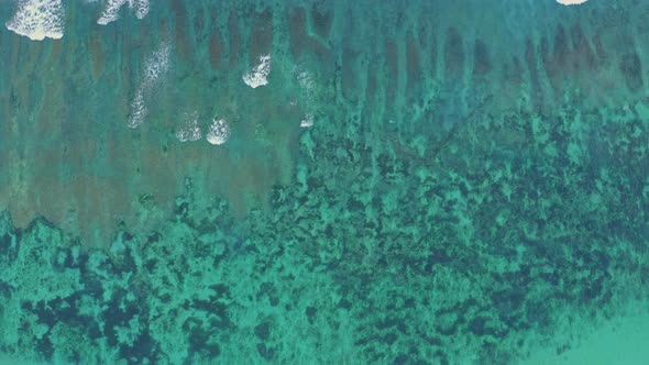 Turquoise Transparent Water of Boundless Ocean Shallow Shelf