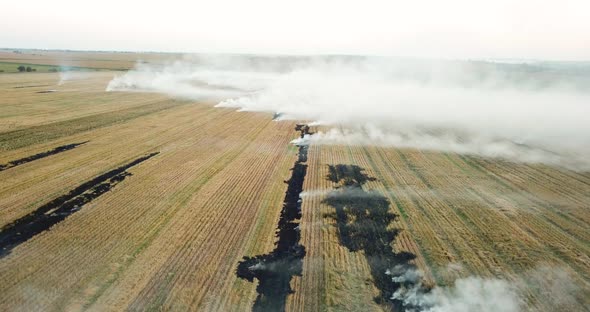 Environmental Disaster Fire in a Field in a Rural Area