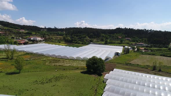 Fly Above Greenhouses