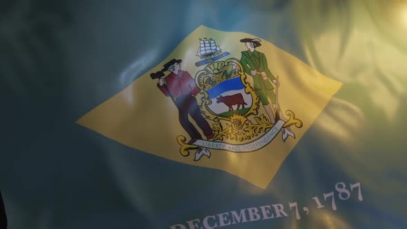 Delaware State Flag