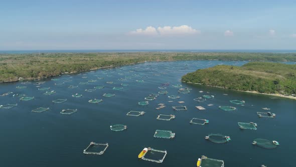 Fish Farm in the Sea