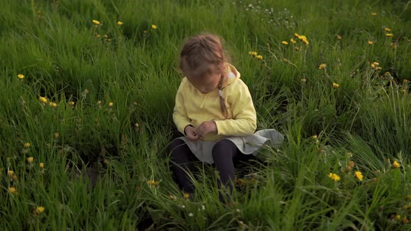 Authentic Cute Little Preschool Baby Girl in Yellow Grey Collect Dandelion Flowers in Park on Grass