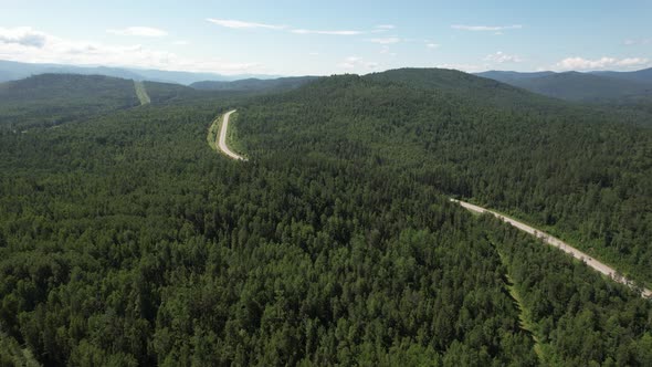 Winding Road in the West Siberian Taiga Ecoregion