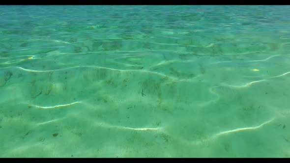 Aerial view texture of perfect island beach trip by clear sea with white sandy background of a dayou