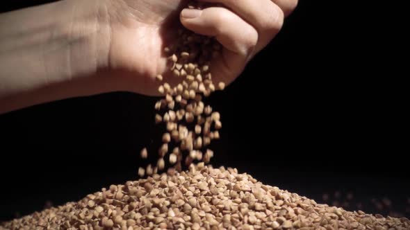 Female Hands Pours Buckwheat Grain. Slow Motion