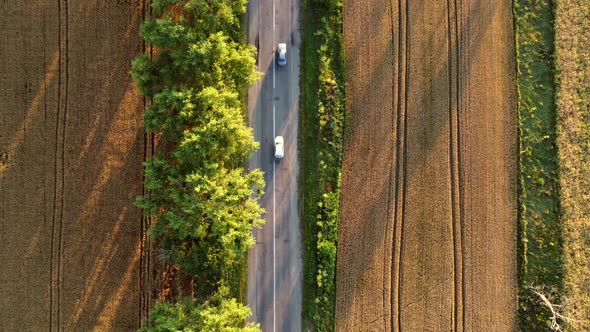 Aerial Drone View Flight Over Asphalt Road with Green Trees Between Wheat Fields