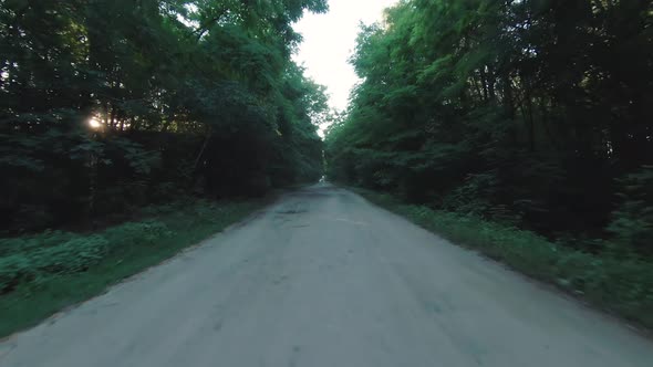 POV Footage of a Road Trip Through a Green Forest