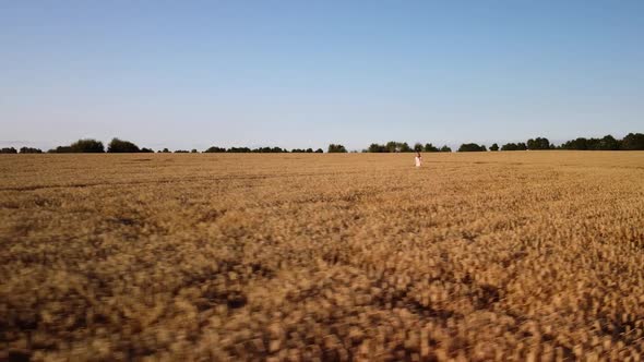 Drone slow-mo video of a girl walking in the field of ripe rye