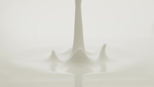 White paint bouncing and making splashes. Slow Motion. alt