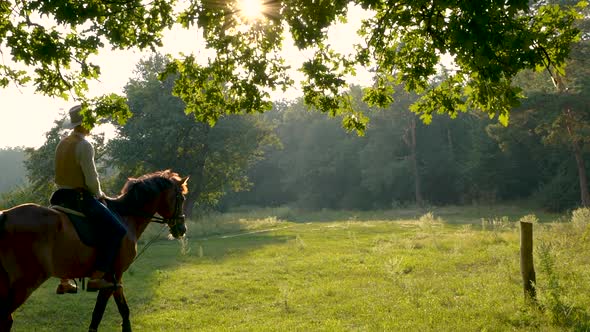 American Cowboy on Horseback on a Forest Lawn