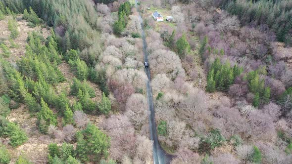 4X4 Pickup Vehicles Driving Through Forest - All Brands Removed