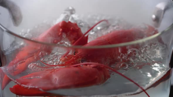 Camera follows cooking lobster in boiling water. Slow Motion.